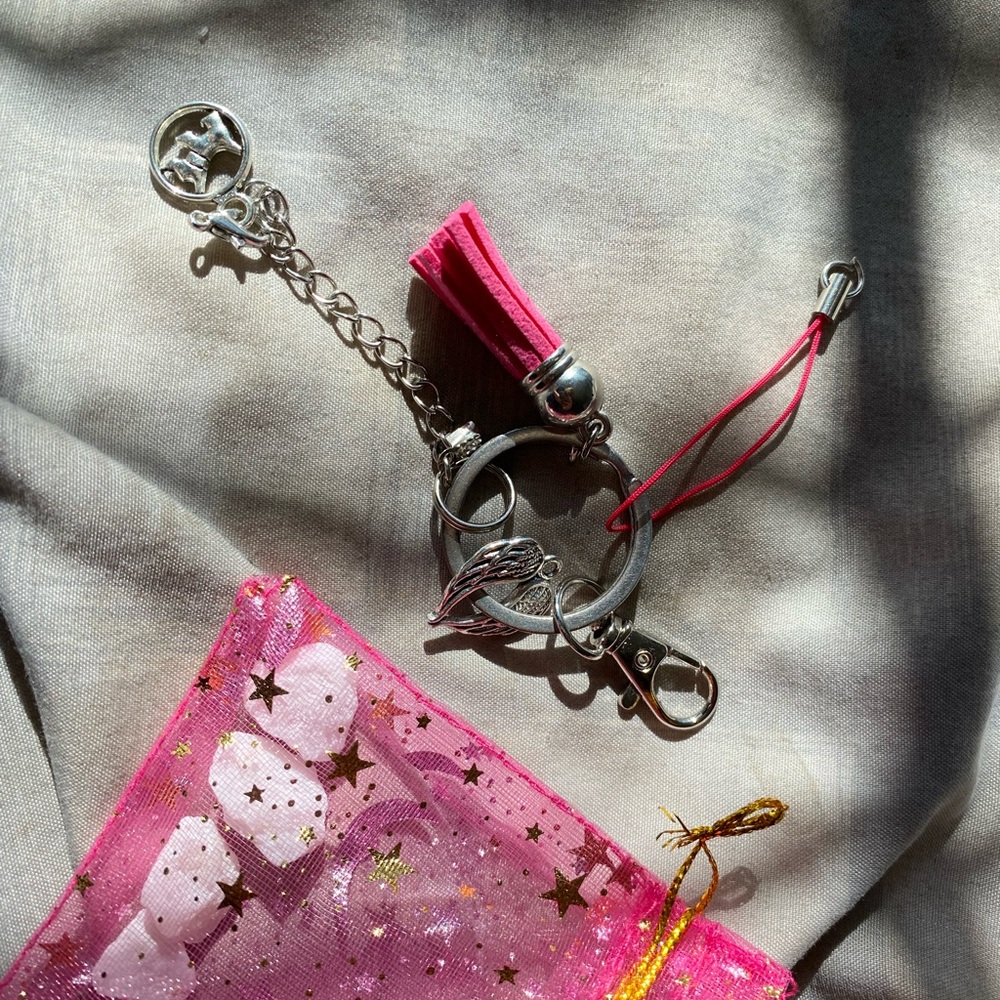 Silver and Pink Keychain with Tassel